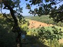 2018-09-20 11-16-40 Rando Combas